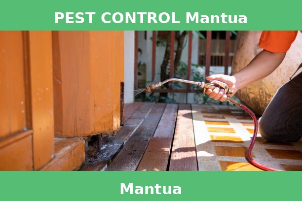 PEST CONTROL Mantua